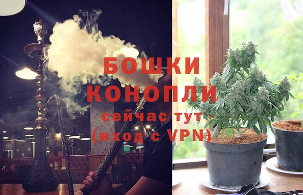 spice Абаза
