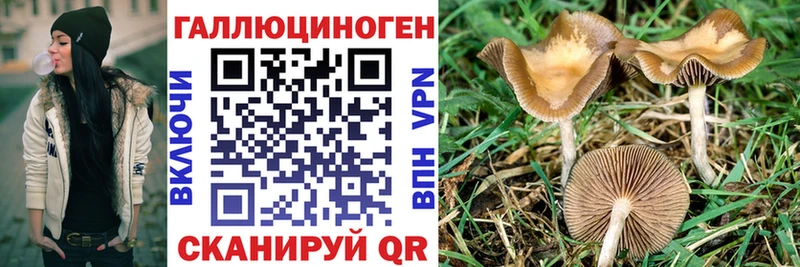 Галлюциногенные грибы MAGIC MUSHROOMS  что такое   ссылка на мегу онион  Приморско-Ахтарск 