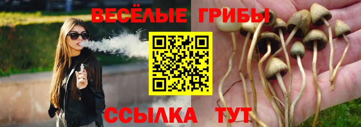 Галлюциногенные грибы прущие грибы  хочу   Приморско-Ахтарск  Вход с VPN 